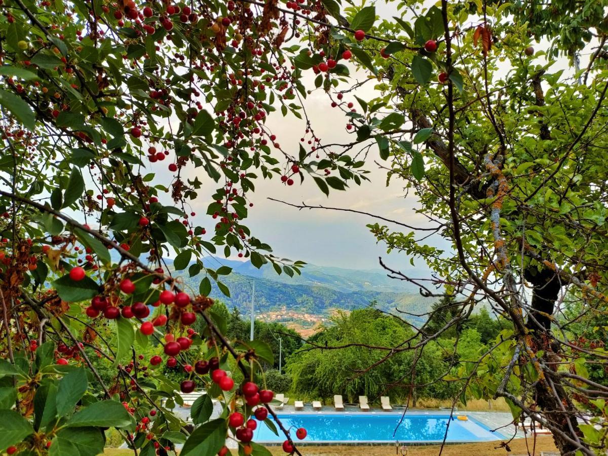 Agriturismo Borgo Biaia Camporgiano Exterior photo